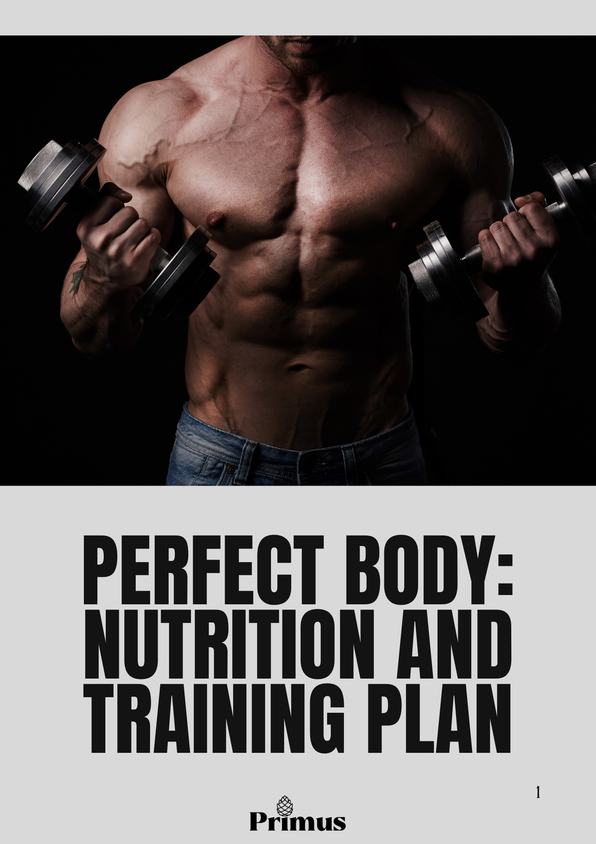 Ebook: Perfect Body: Nutrition and Training Plan